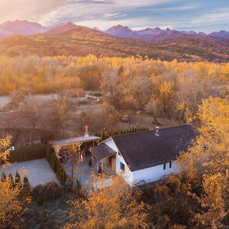 River Residence Chalet Стацьюня-Климатерикэ-Сымбэта Экстерьер фото