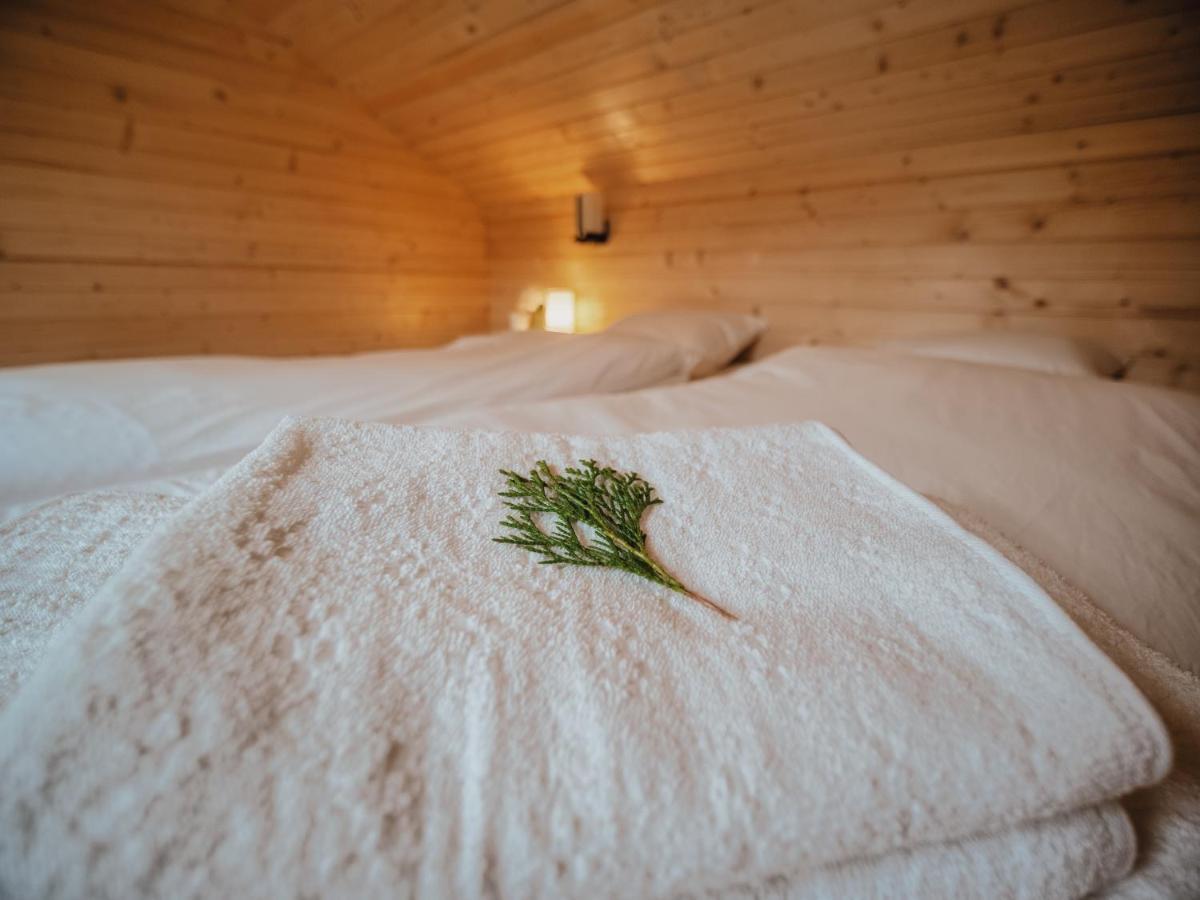 River Residence Chalet Стацьюня-Климатерикэ-Сымбэта Экстерьер фото
