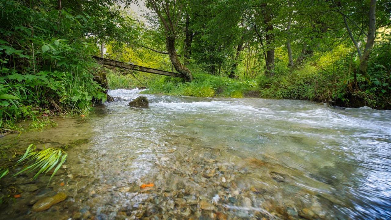 River Residence Chalet Стацьюня-Климатерикэ-Сымбэта Экстерьер фото