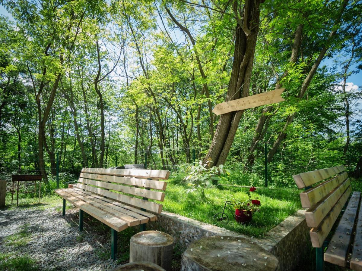River Residence Chalet Стацьюня-Климатерикэ-Сымбэта Экстерьер фото
