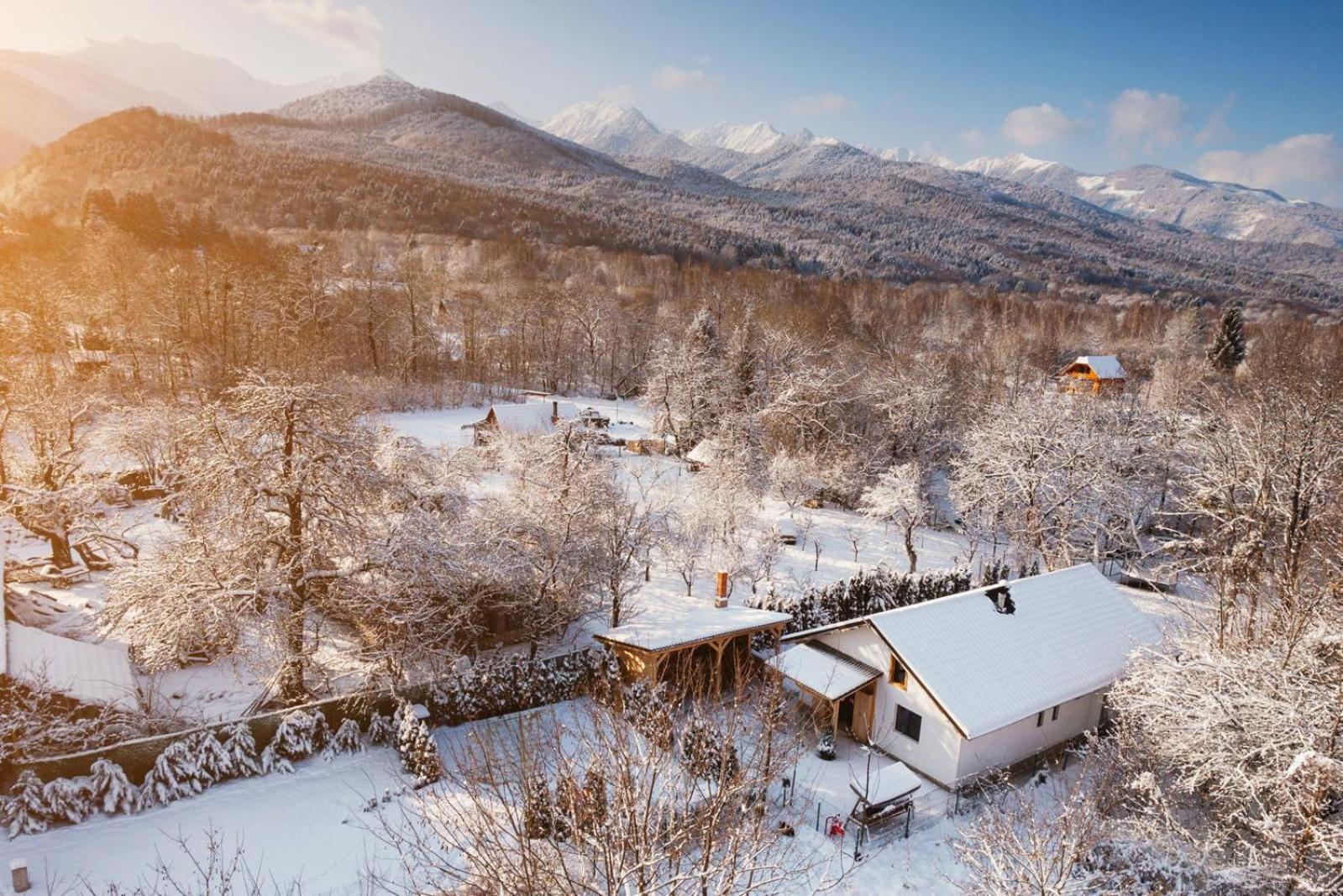 River Residence Chalet Стацьюня-Климатерикэ-Сымбэта Экстерьер фото